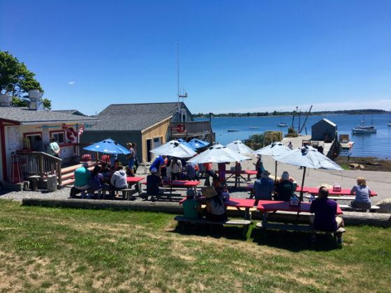 Maine Travel Maven shares Maine's best lobster shacks