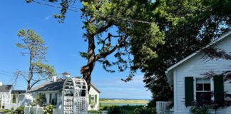 White cottages behind picket fences have views to the ocean.